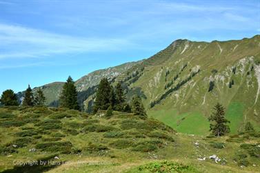 2020 09 10 Körbersee,_DSE_7743_b_488px